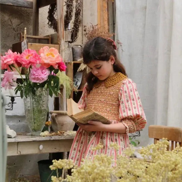 Blouse A Smocks Rayure Tapisserie Rose et son Col Crochet Amovible Bonjour