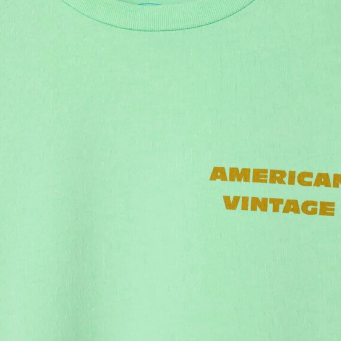 T-shirt Fizvalley Amandier American vintage