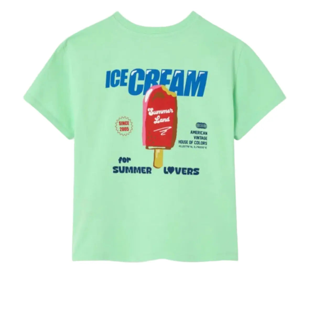 T-shirt Fizvalley Amandier American vintage
