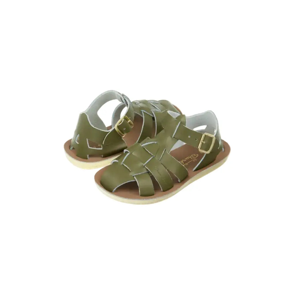 Shark Olive Saltwater