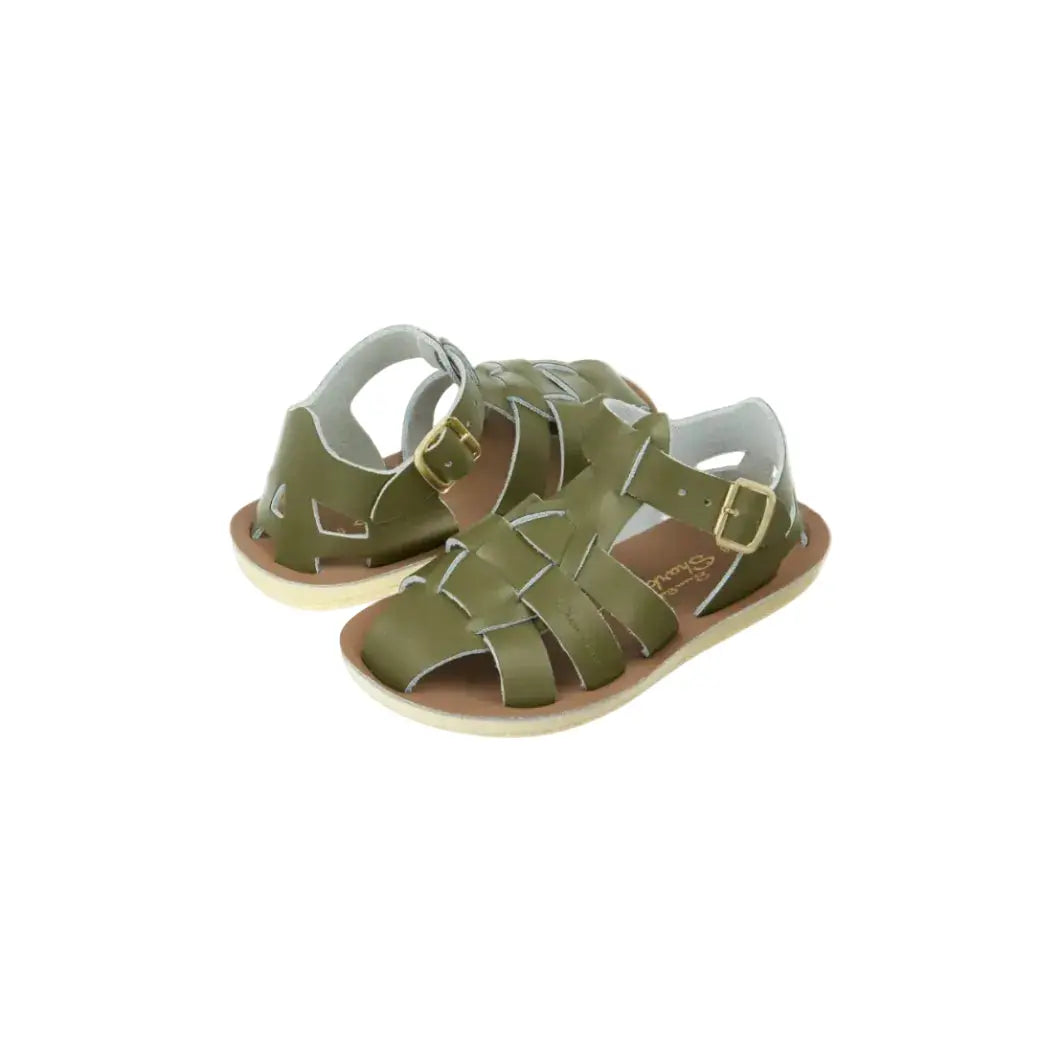 Shark Olive Saltwater