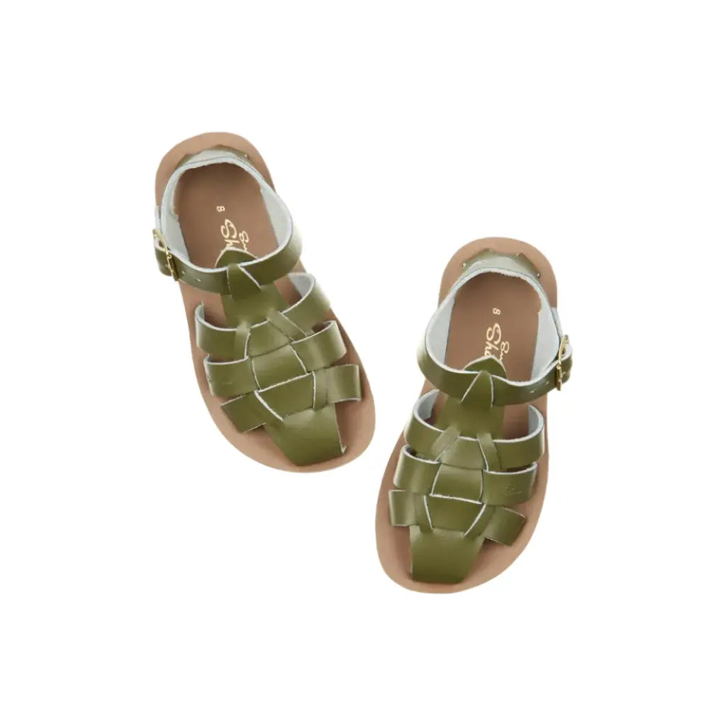Shark Olive Saltwater