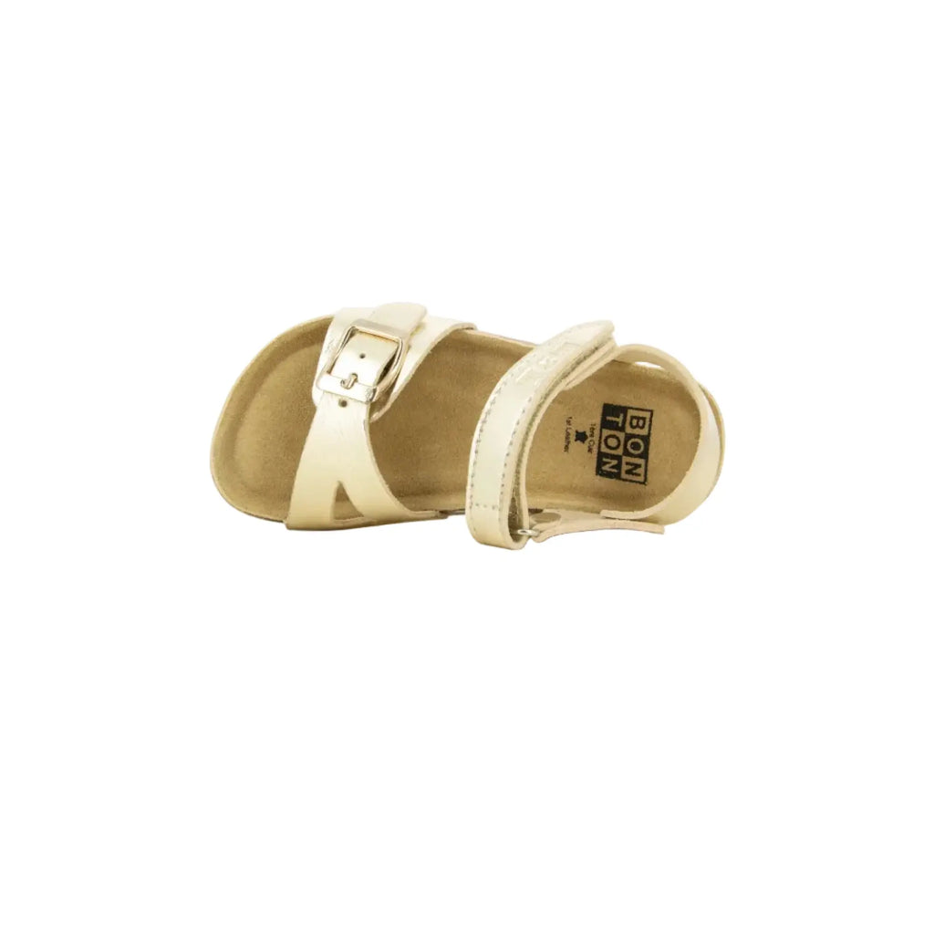 Memo Sweet Platine Bonton