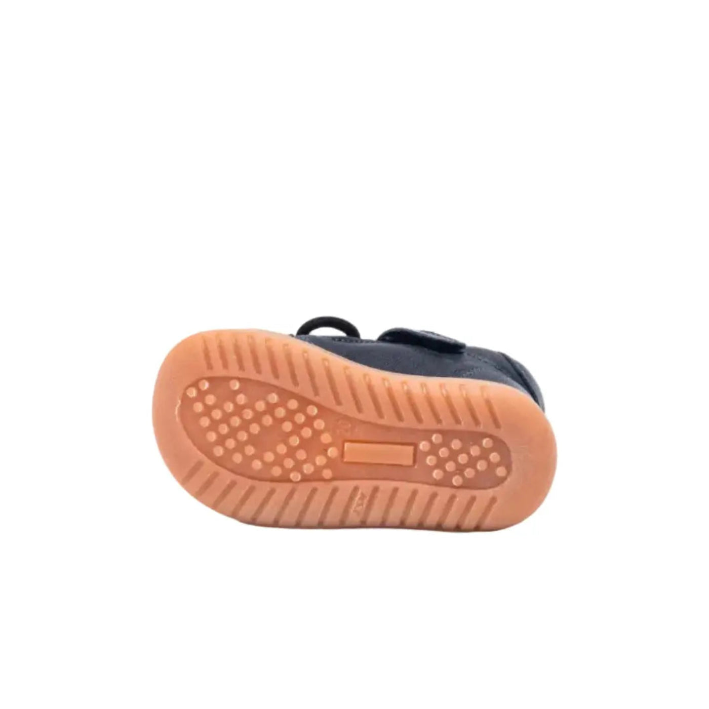 Thor z Dark Blue Bisgaard