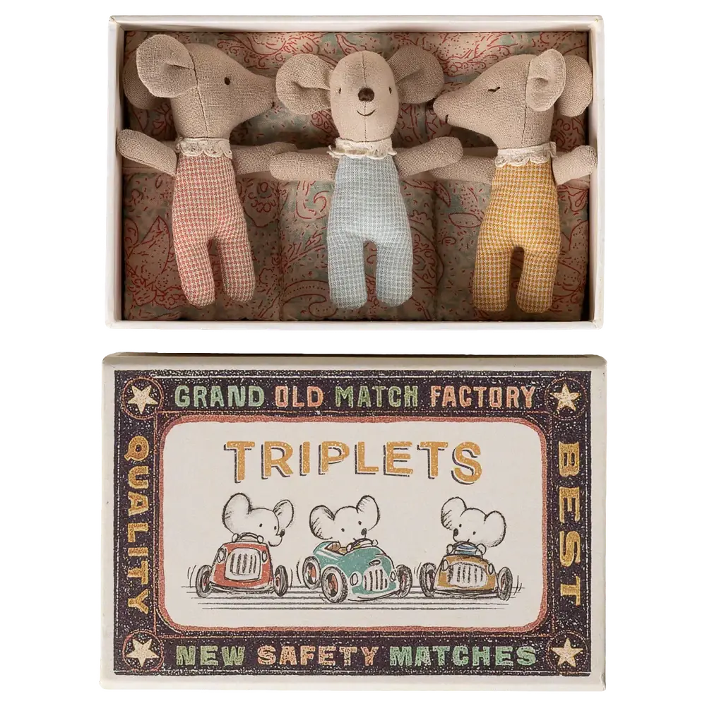 Triplés Bébés Souris