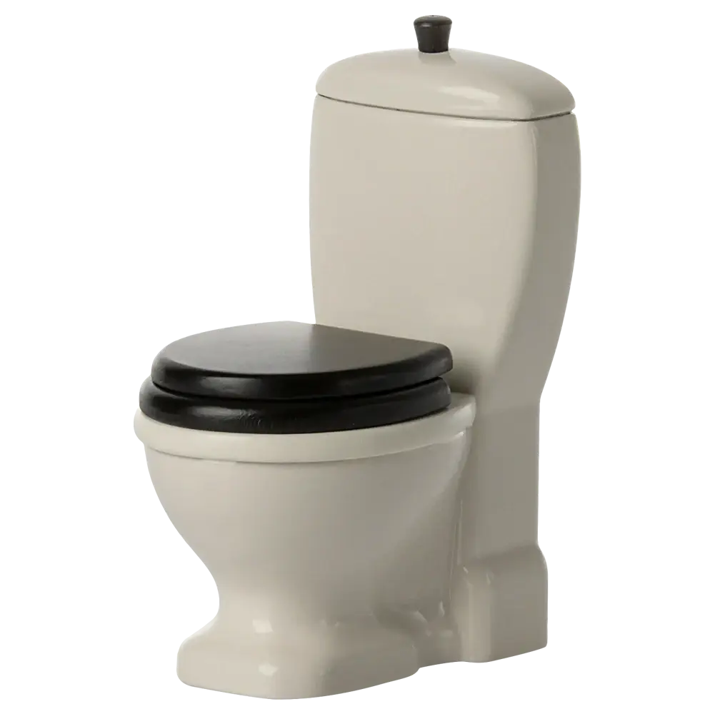 Toilettes Souris