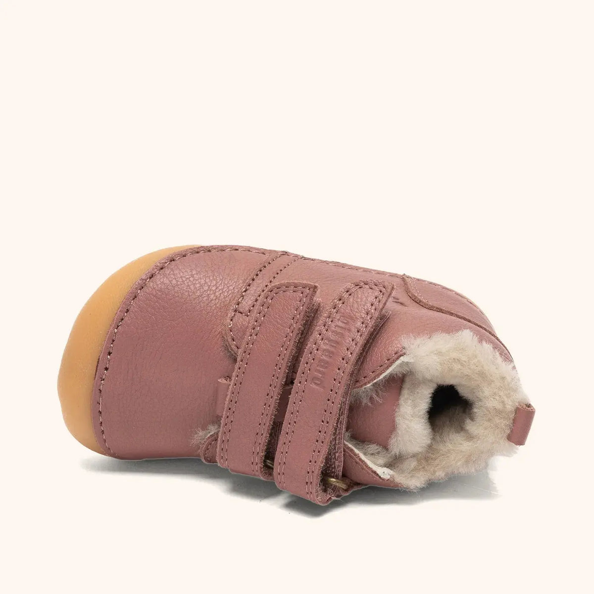 Carter Lamb Rose Bisgaard